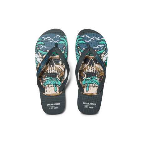 Žabky Colour Skull Asphalt 