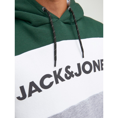 Mikina Logo Blocking Regular Fit Pine Grove  